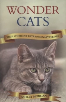 Image of Wonder Cats by Ashley Morgan Paperback