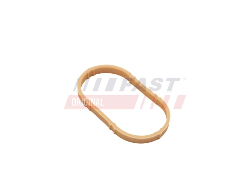 Image of FAST Inlet manifold gasket FAST FT49461