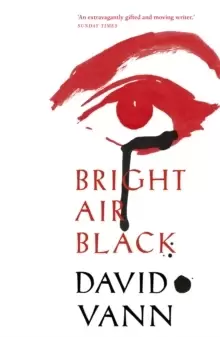 Image of Bright Air Black