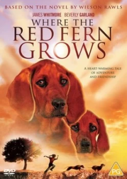 Image of Where the Red Fern Grows - DVD