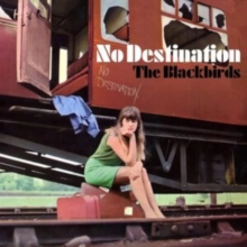 Image of No destination Vinyl