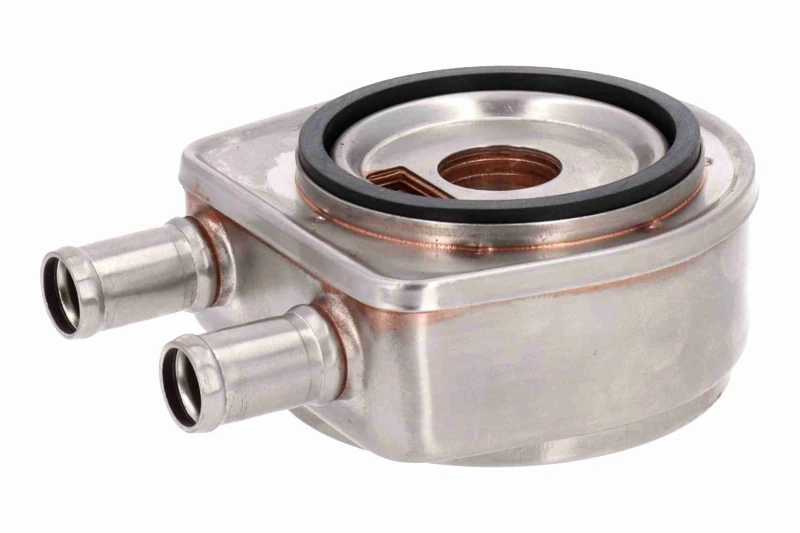 Image of ACKOJA Engine oil cooler ACKOJA A32-60-0006