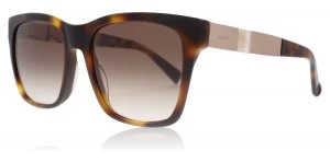 image of Max Mara MM Stone I Sunglasses Havana / Gold HWH 54mm