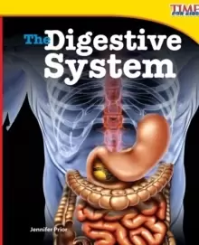 Image of The Digestive System