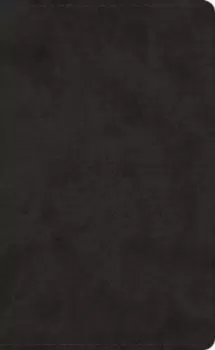 Image of ESV Pocket Bible