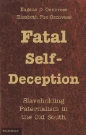 Image of fatal self deception slaveholding paternalism in the old south