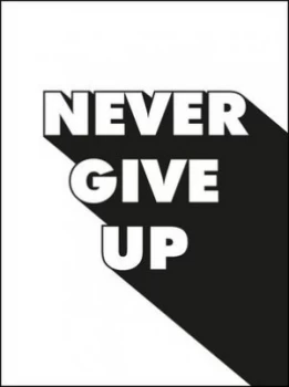 Image of Never Give up by Summersdale Hardback