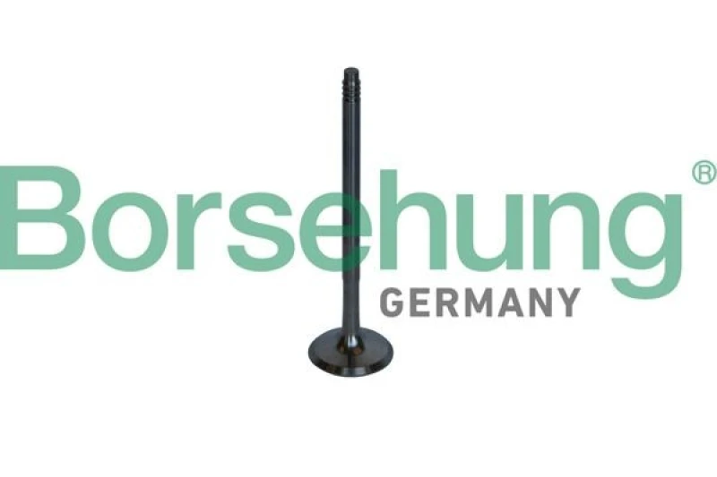 Image of Borsehung Exhaust valve Borsehung B10326