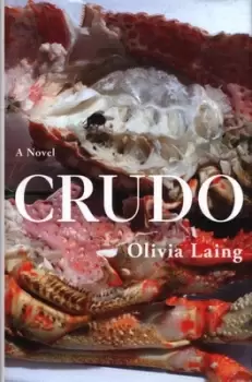 Image of Crudo by Olivia Laing