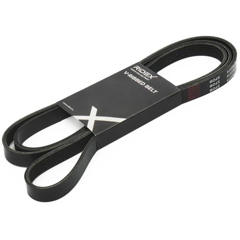 Image of RIDEX 305P0244 V-ribbed belt Rubber V-Ribbed Belts (305)