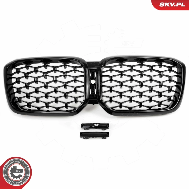Image of ESEN SKV Radiator Grille ESEN SKV 66SKV269