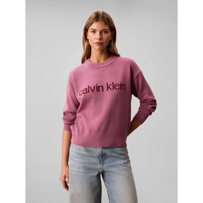 Image of Calvin Klein Jeans Womens Graphic Crew Neck Jumper Bordeaux female 8 (XS)