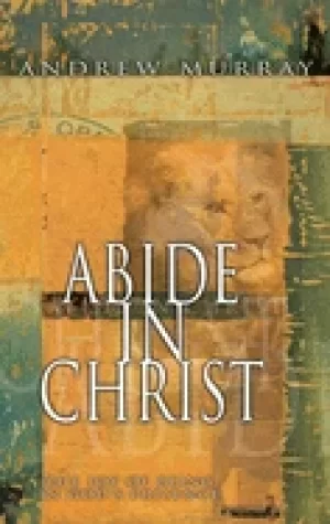Image of abide in christ the joy of being in gods presence