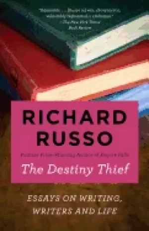 Image of destiny thief essays on writing writers and life
