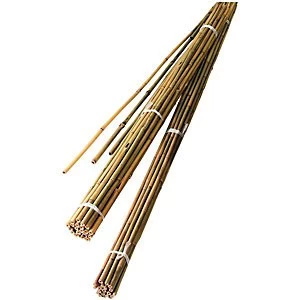 Image of Wickes Bamboo Canes 1.2m - Pack of 10