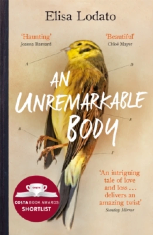 Image of An Unremarkable Body : Shortlisted for the Costa First Novel Award 2018 Paperback / softback