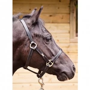 image of John Whitaker Breeder Headcollar - Black