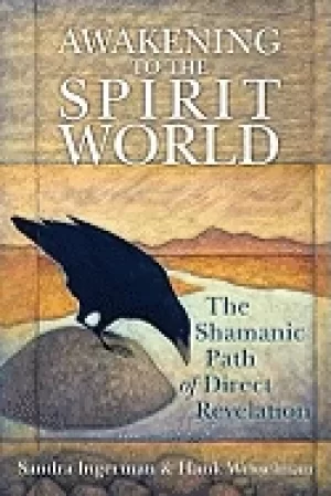 Image of awakening to the spirit world the shamanic path of direct revelation