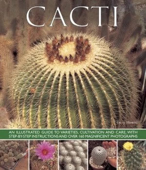 Image of Cacti by Terry Hewitt Paperback