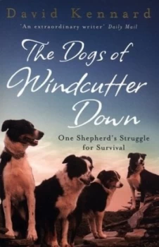 Image of The Dogs of Windcutter down by David Kennard Paperback