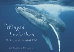 Image of Winged leviathan by Colin Baxter