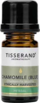 image of Tisserand Aromatherapy Chamomile (Blue) Ethically Harvested Pure Essential Oil 2ml