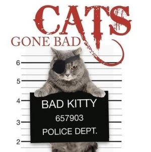 Image of Cats gone bad by Kat Scratching