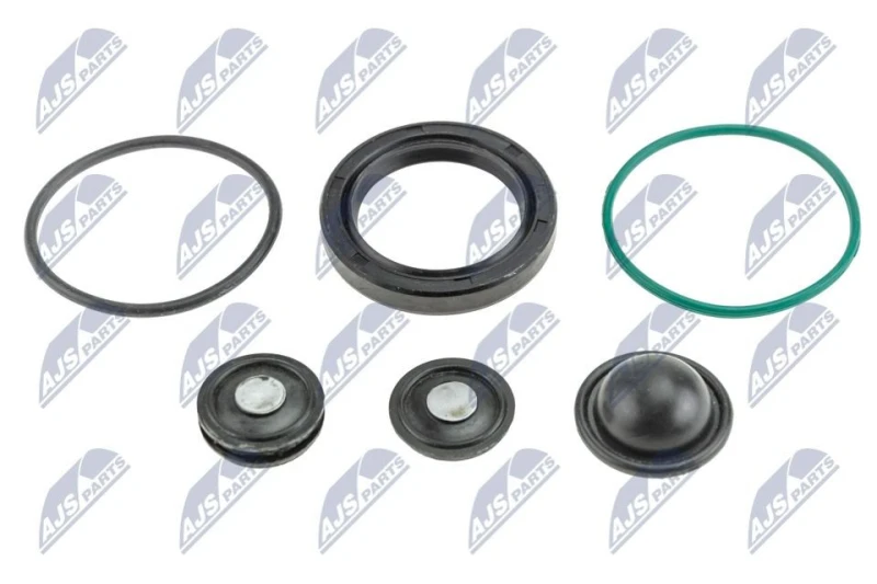 Image of NTY Repair Kit, fuel pump NTY BWP-PL-004