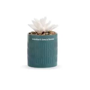 Image of Succulent Oil Diffuser - Mothers Love