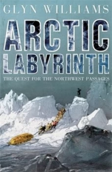 Image of Arctic Labyrinth by Glyn Williams Hardback
