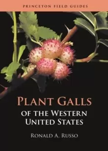 Image of Plant Galls of the Western United States