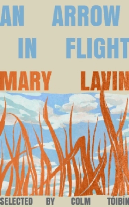 Image of An Arrow in Flight Hardback