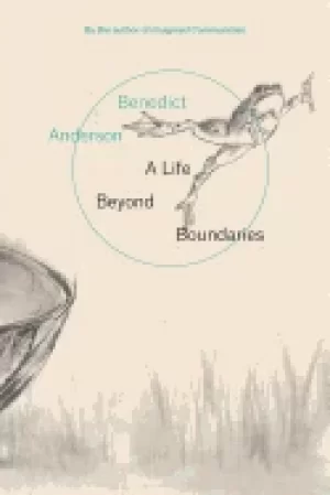 Image of life beyond boundaries a memoir