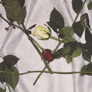 Image of Chain Of Flowers &lrm;- Chain Of Flowers Clear Vinyl