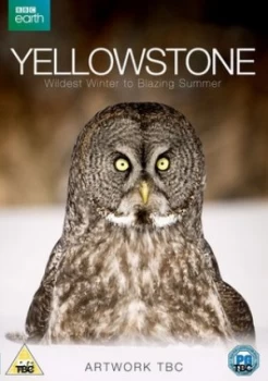 Image of Yellowstone - Wildest Winter to Blazing Summer - DVD