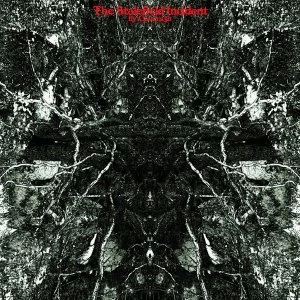 Image of Cavem3N - The Stalefield Incident Coloured Vinyl