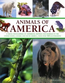 Image of Animals of America by Tom Jackson Book