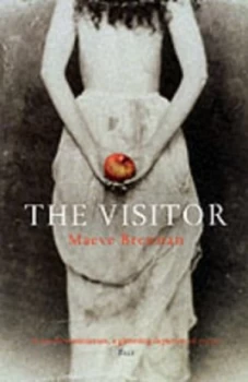 Image of The Visitor by Maeve Brennan Book