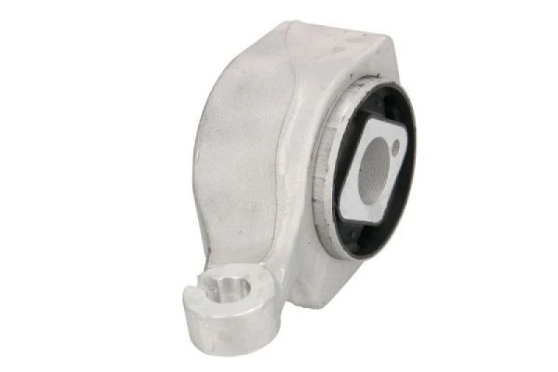 Image of REINHOCH Trailing arm / Suspension arm bush REINHOCH RH14-3066