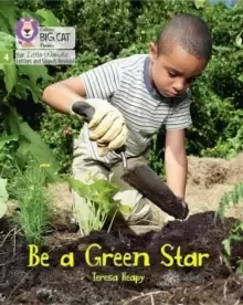 Image of Be a Green Star : Phase 4 Set 2 Stretch and Challenge