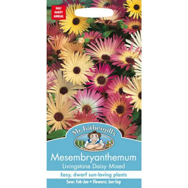 Mr. Fothergill's Mesembryanthemum Livingstone Daisy Mixed (Dorotheanthus Bellidiformis) Seeds Multicoloured