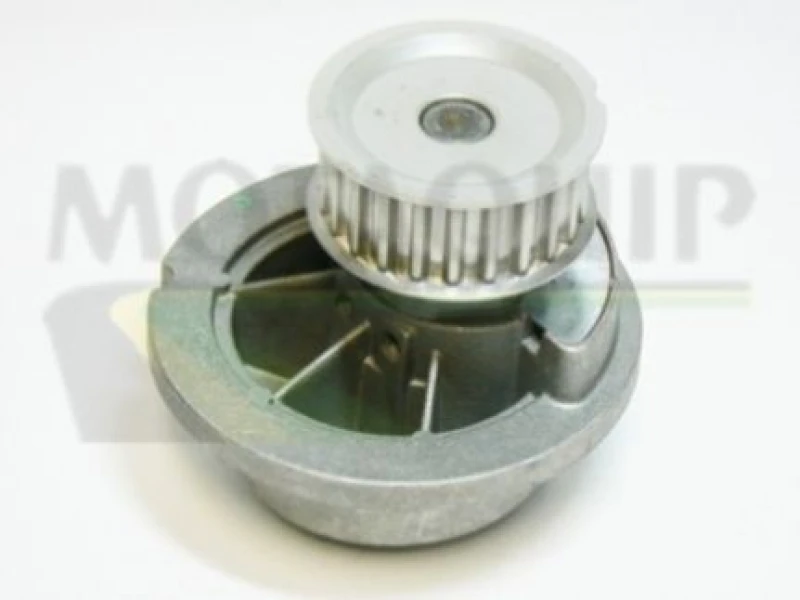 Image of MOTAQUIP Water pump MOTAQUIP VWP828