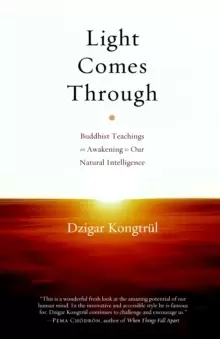 Image of Light Comes Through : Buddhist Teachings on Awakening to Our Natural Intelligence
