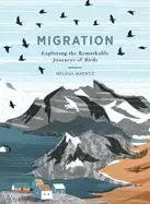 Image of migration exploring the remarkable journeys of birds