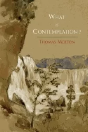 Image of what is contemplation