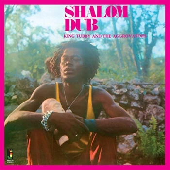 image of King Tubby And The Aggrovators - Shalom Dub CD