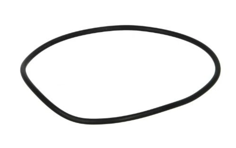 Image of LEMA 104755 Gaskets Shaft Seal,injector pump (3968)
