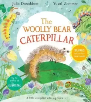 Image of The Woolly Bear Caterpillar by Julia Donaldson