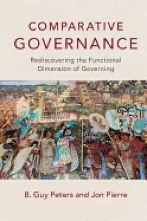 Image of comparative governance rediscovering the functional dimension of governing