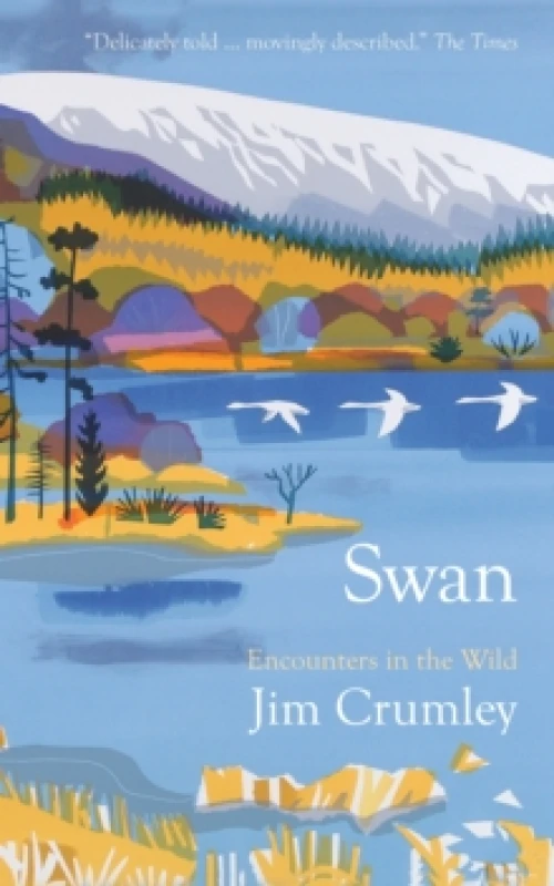 Image of Swan Paperback / softback